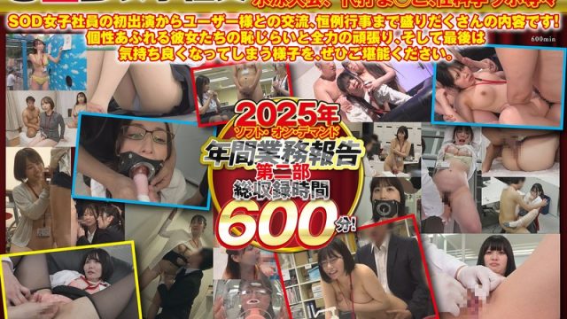 2025年ソフト・オン・デマンド年間業務報告 第二部600分
